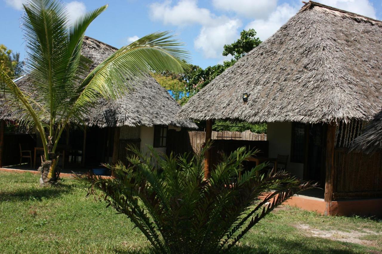 Driftwood Beach Lodge Jambiani (Zanzibar) Exterior foto