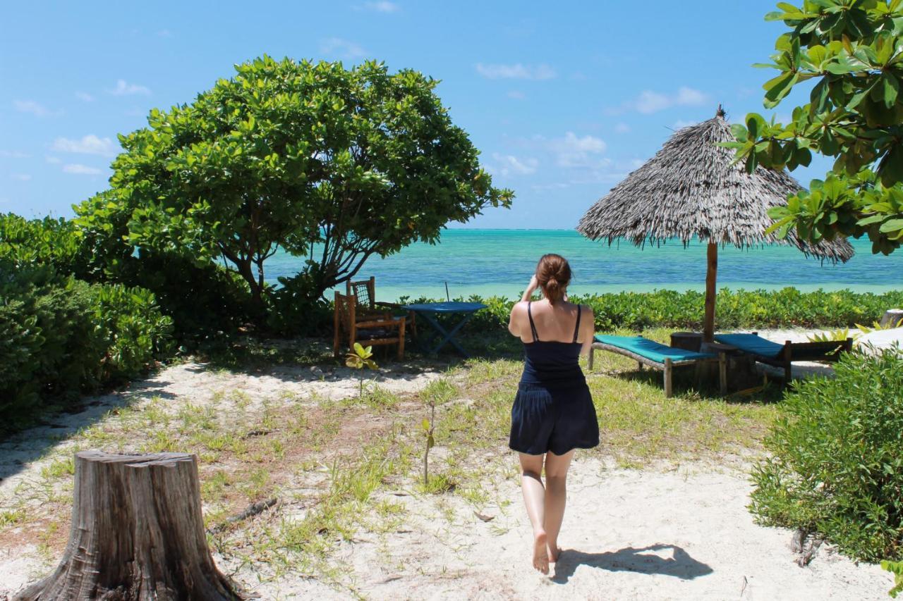Driftwood Beach Lodge Jambiani (Zanzibar) Exterior foto