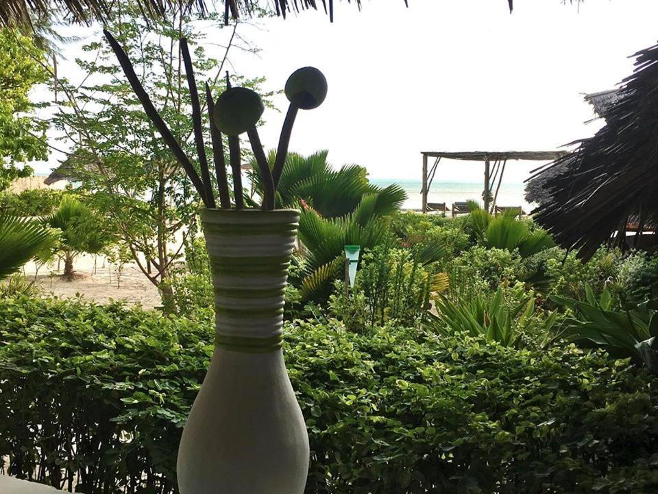 Driftwood Beach Lodge Jambiani (Zanzibar) Exterior foto
