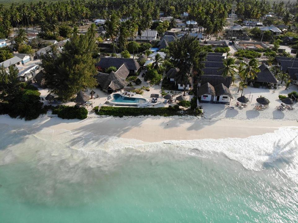 Driftwood Beach Lodge Jambiani (Zanzibar) Exterior foto